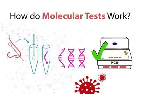 molecular diagnostic techniques examples