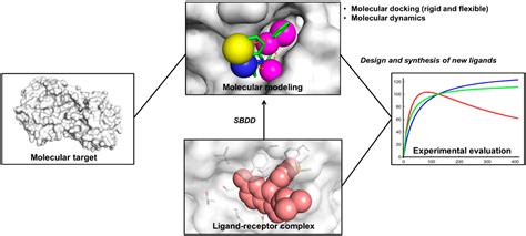molecular docking in drug design
