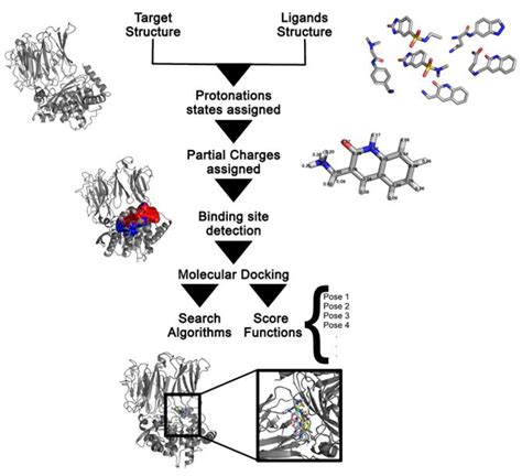 molecular docking in drug discovery pdf