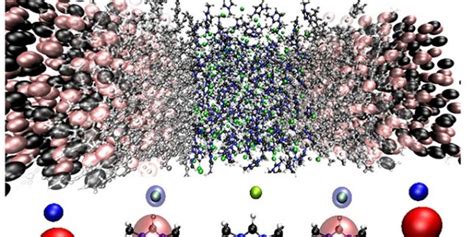 Molecular Dynamics Simulation Of Ionic Liquids