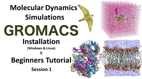 Molecular Dynamics Simulation Software Gromacs