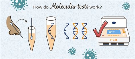 molecular genetic testing