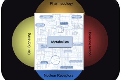 molecular metabolism endnote style
