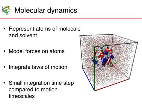 Molecular Modeling Dynamic