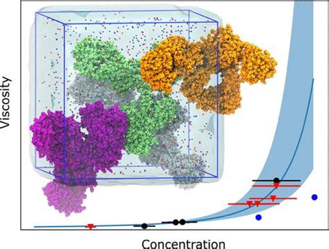 Molecular Modeling Viscosity