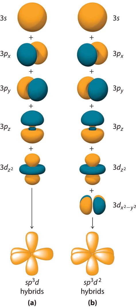 molecular orbital diagram hybridization