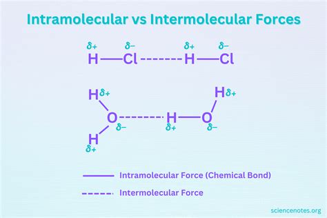 molecular shapes and intermolecular forces