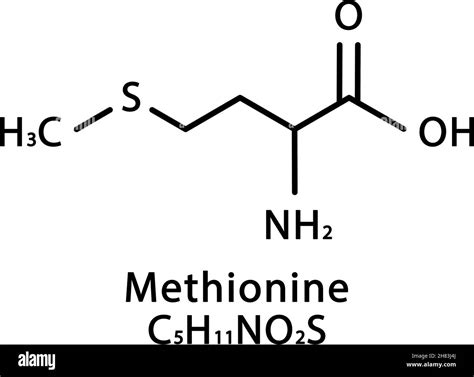 molecular structure of methionine