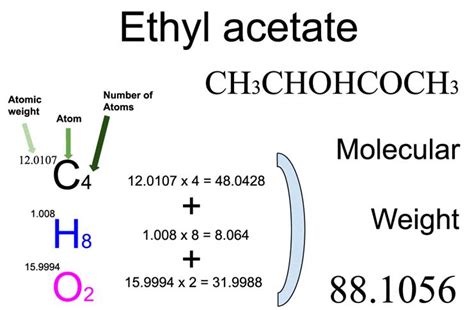 molecular weight of ethyl acetate