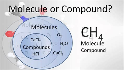 molecule vs compound examples