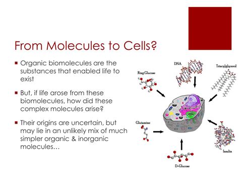 molecules and cells