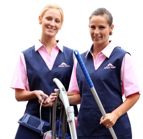 molly maids cleaning service prices near me