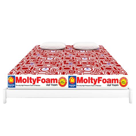 molty foam bed