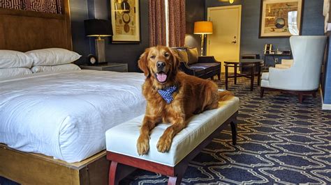 monaco hotel salt lake city pet friendly