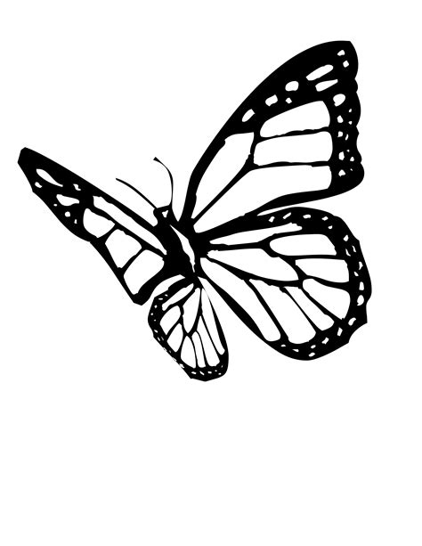 monarch butterfly clipart black