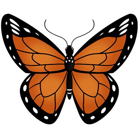 monarch butterfly drawing simple