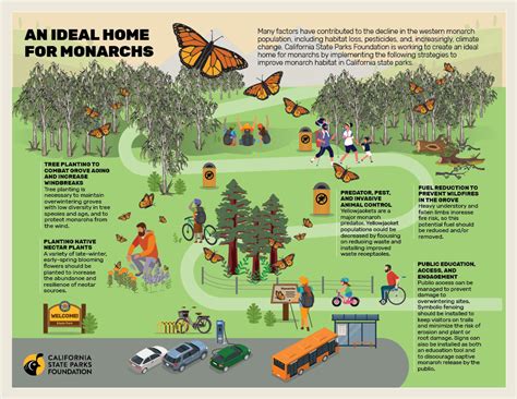 Monarch Butterfly Properties