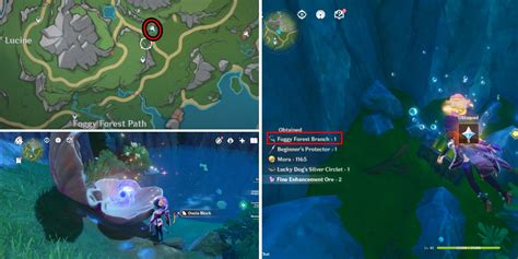 monese branch location