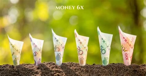 money 6x com