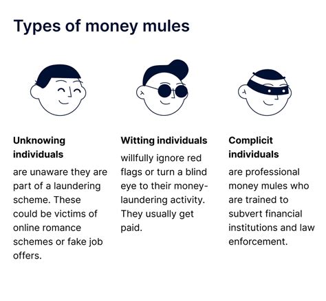 money mule account meaning