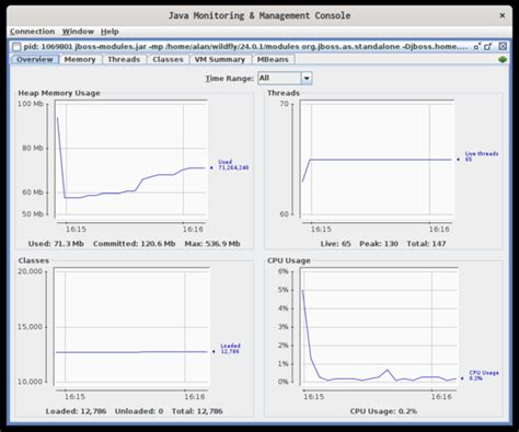 Monitor Java Process Memory Usage Linux