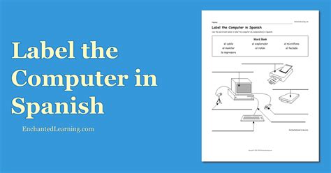 Monitor Name In Spanish