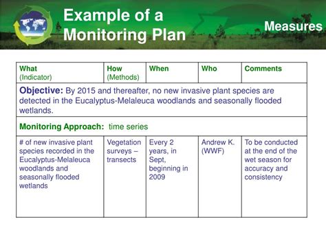 monitoring activities examples