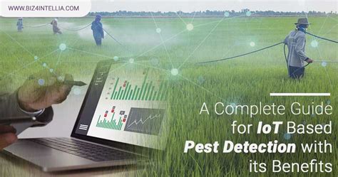 Monitoring Pests and Diseases Cosmos