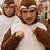 monkey costume bloodhound gang