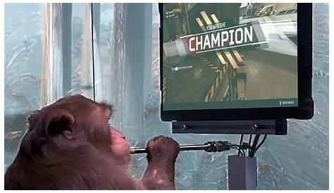 Monkey Playing Video Games Gif Victorious Escape 4King Jeux En Ligne