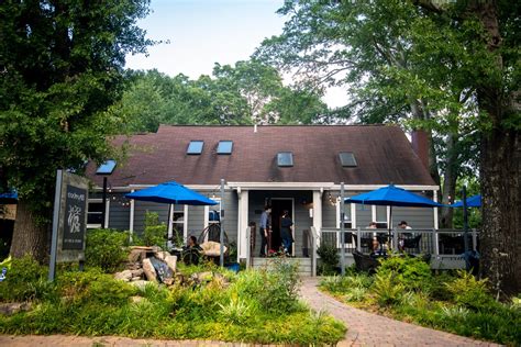 Unveiling the Mysterious Monkey 68: Roswell's Enigmatic Legend