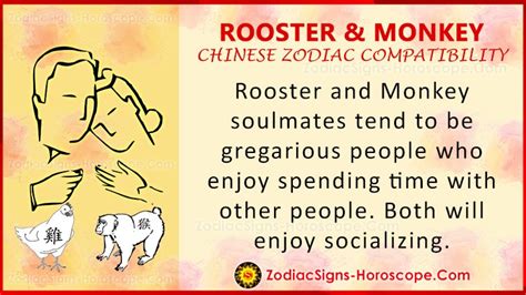 monkey and rooster love compatibility