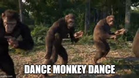 monkey dance song meme
