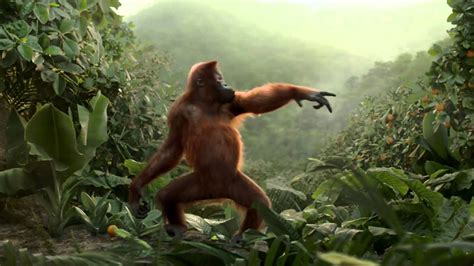 monkey dance video youtube