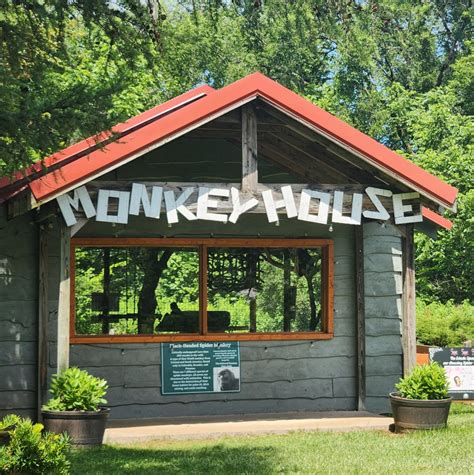 Monkey House Pictures