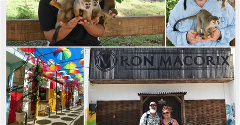 monkey interaction puerto plata
