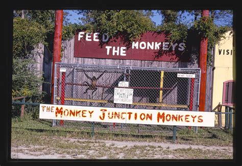 monkey junction wilmington nc map