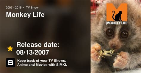 monkey life tv show episodes