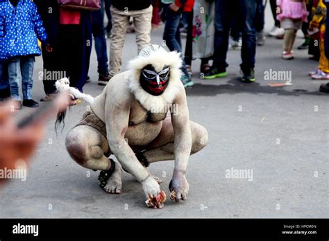 monkey man real photo delhi