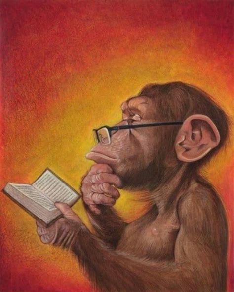 Monkey Reading Book Meme