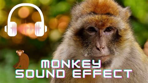 Monkey Sounds Research