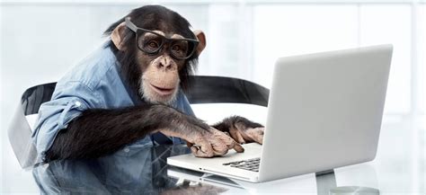 monkey typing app for pc