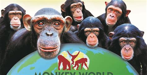 monkey world tickets online