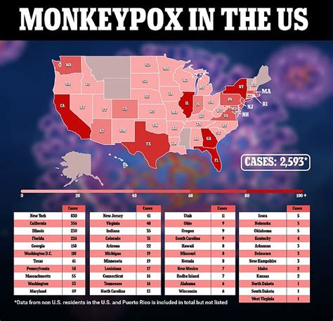 monkeypox numbers in us