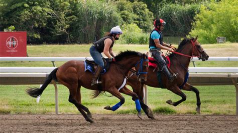 monmouth park racetrack picks