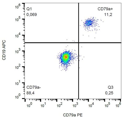 monoclonal cd79a antibody staining