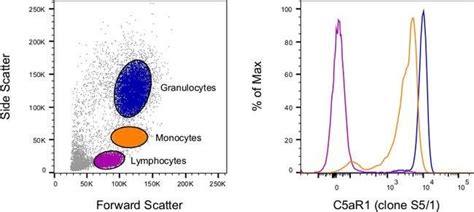 monoclonal cd88 antibody applications