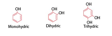 Monohydric Phenol Examples