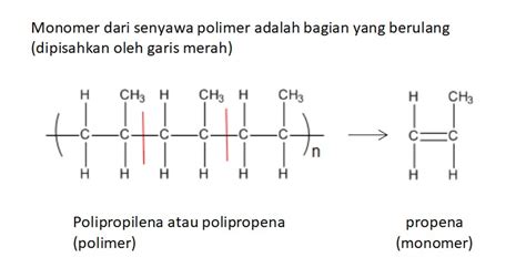 Monomer dari Polimer Tersebut Adalah: Penjelasan Lengkap