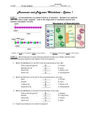 Polymers Worksheet